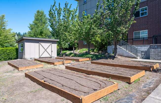 Terrace at Mount Scott_Community Garden