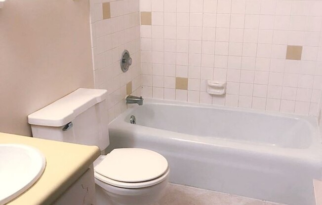 Studio, 1 bath, 300 sqft, $1,040, Unit 102-308