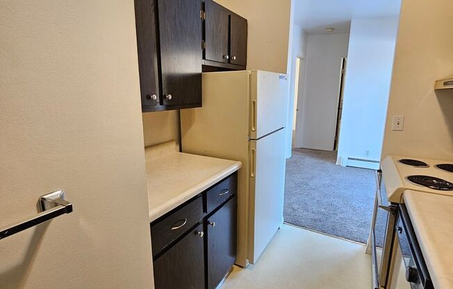 1 bed, 1 bath, 500 sqft, $695, Unit #8