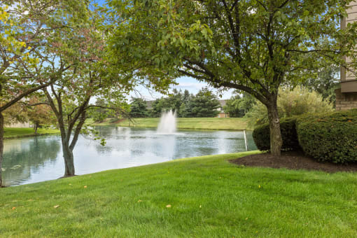 Water View With Fount