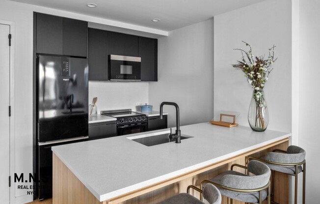 1 bed, 1 bath, $3,500, Unit 1019