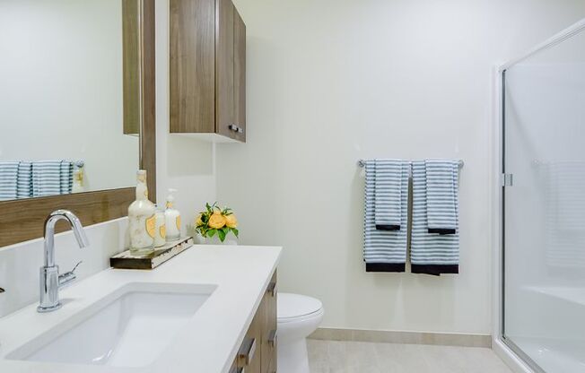 1 bed, 1 bath, 542 sqft, $2,399, Unit 209