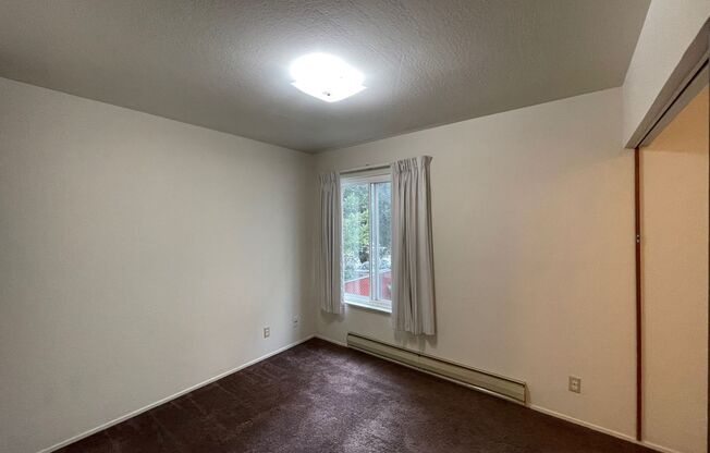 1 bed, 1 bath, 405 sqft, $1,545, Unit 208