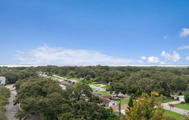 A view of a residential area with houses and trees at Hampton Apartments, Clearwater, FL, 33759