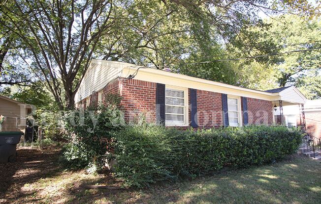 Welcome to 555 Herzl St!