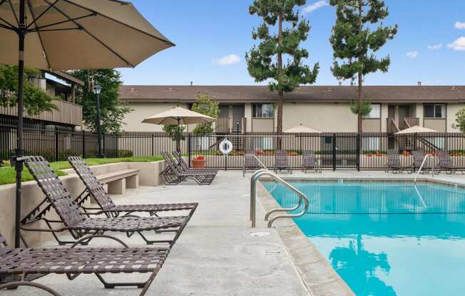 our apartments showcase an unique swimming pool