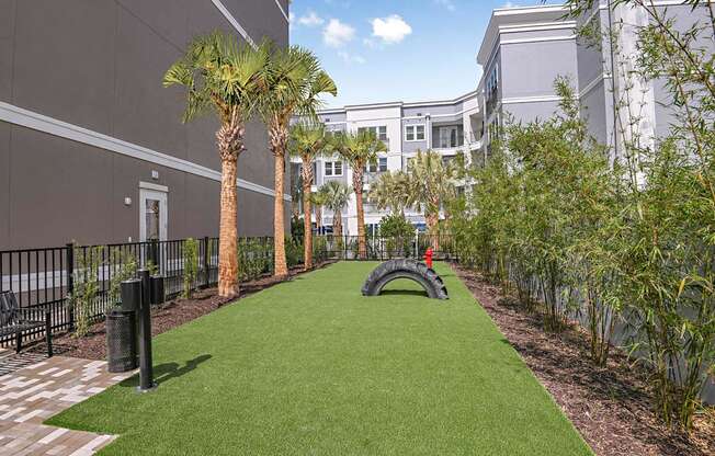 Pet Park at The Foundry Luxury Apartments in Tampa FL