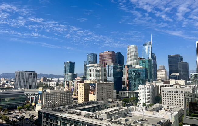 1 bed, 1 bath, 1,010 sqft, $3,400, Unit 1704