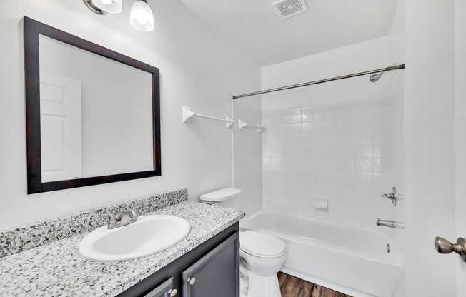 a bathroom with a sink and a shower and a toilet