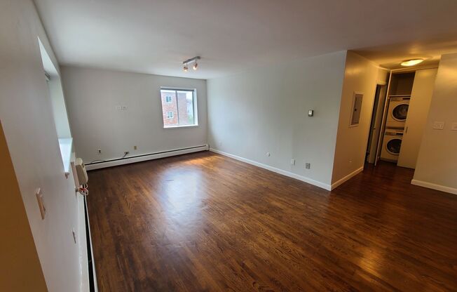 Chin - 64 Allston #5