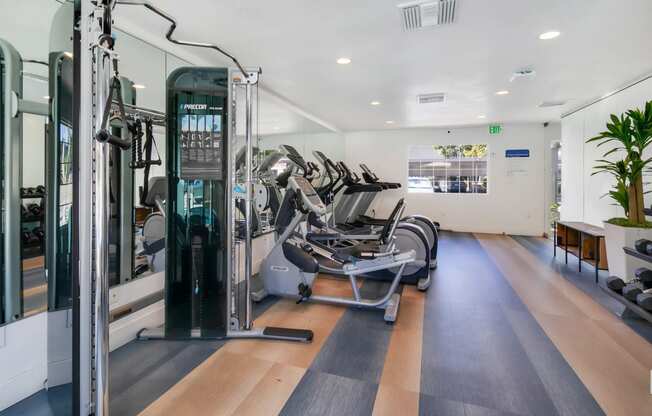 two treadmills and other exercise equipment in a gym