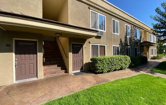 Stonemark on Avocado