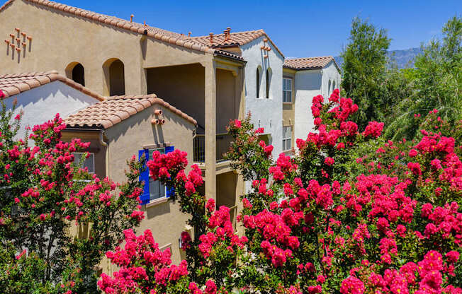 A house with a red roof and a garden with pink flowers.
