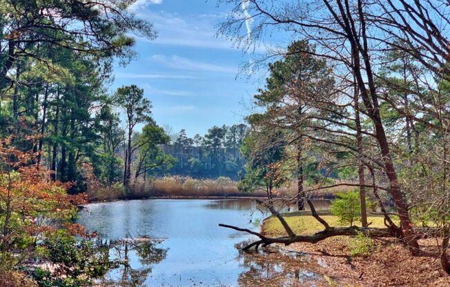 Waterfront Ranch Home - Excellent School Zones - 2-Car Garage - Park-Like Scenery! Available 07-11-25!