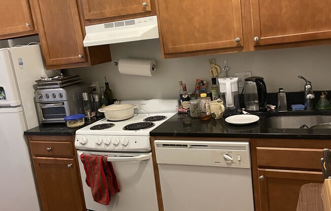 1 bed, 1 bath, $2,600, Unit 12