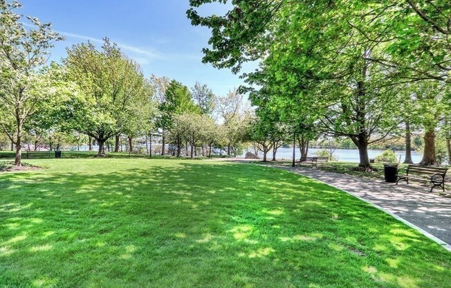 1 bed, 1 bath, 966 sqft, $2,900, Unit 303