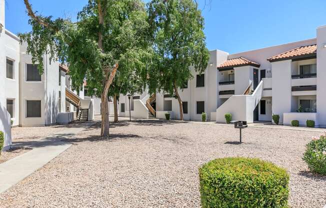 a courtyard with a tree in front of a building at Tides at Mesa, Mesa, 85204