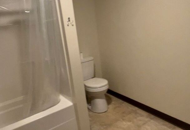 Studio, 1 bath, 700 sqft, $525, Unit Apt 101