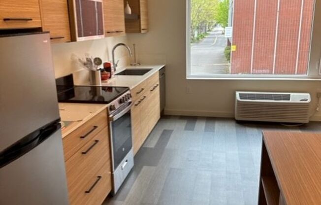 Studio, 1 bath, 432 sqft, $1,295, Unit 202