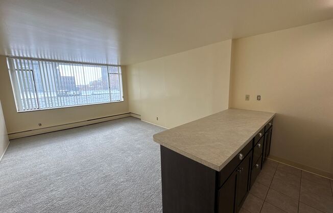 Studio, 1 bath, 375 sqft, $825, Unit 604