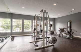 A spacious gym with a variety of equipment including a squat rack, bench press, and dumbbells.