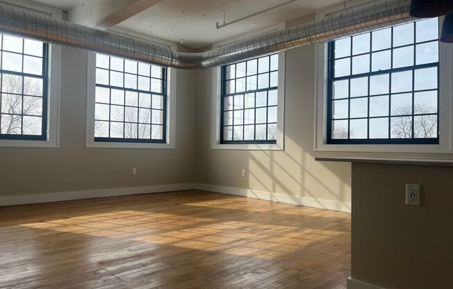 1 bed, 1 bath, 789 sqft, $1,775, Unit UNIT 315