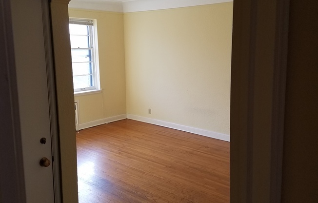 1 bed, 1 bath, 504 sqft, $999, Unit 203