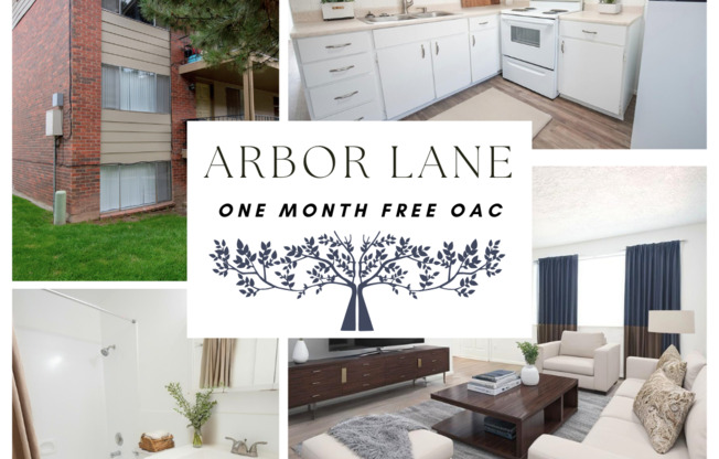 2 beds, 1 bath, 935 sqft, $1,199, Unit 15