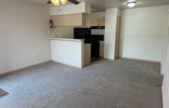 1 bed, 1 bath, 612 sqft, $880, Unit 920