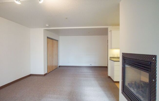 Spacious & Bright Modern Studio w/Fireplace, W/D & Patio