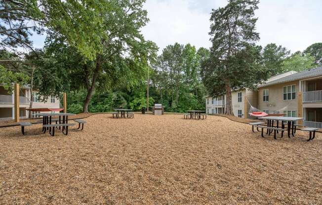 our apartments in a city have a large dog park