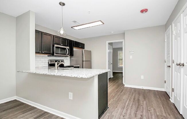 Charming 1 Bedroom/1 Bathroom Condo - Newly Renovated - Open Floor Plan - Optional Amenities Available