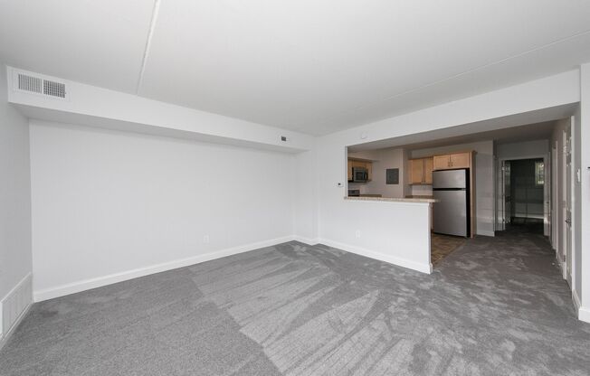 Living Area-Semi Upgrade
