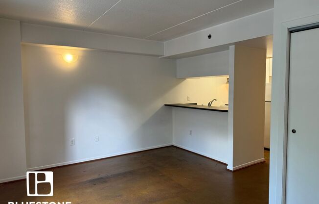 Studio, 1 bath, 400 sqft, $1,050, Unit 305