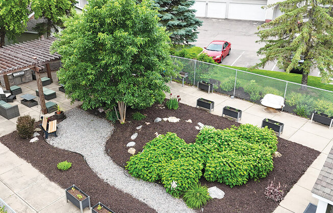 A landscaped garden area with a large tree and a small pond.