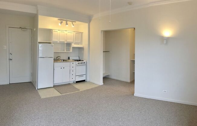 Studio, 1 bath, 233 sqft, $1,190, Unit 302