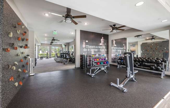 a gym with a rock climbing wall and weights on the wall