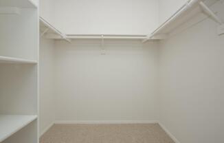 Walk-in closet with carpet