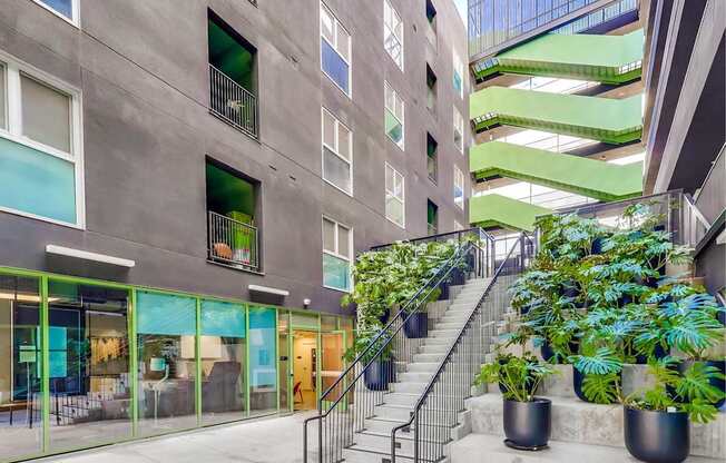 A staircase with plants on the side.