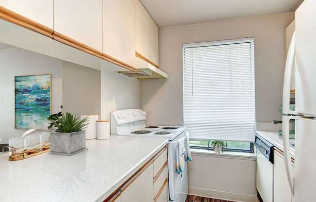 A kitchen with white appliances and a white counter top.