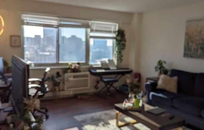 1 bed, 1 bath, 570 sqft, $3,000, Unit 1707
