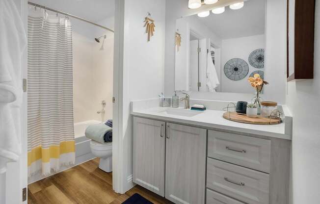 A bathroom with a white vanity and a mirror above it.