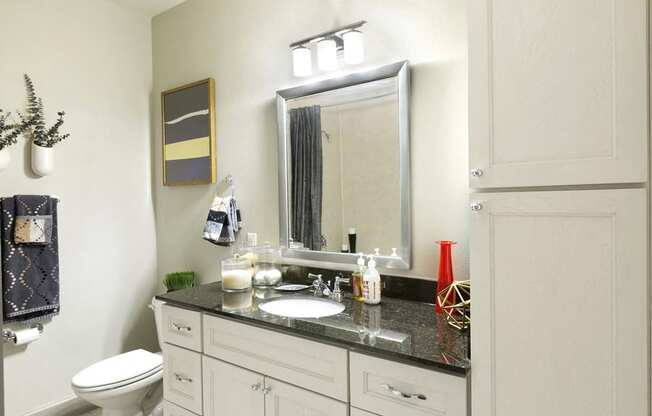 5th Street Commons A1 Model Bathroom