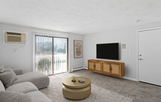 a living room with a gray couch and a tv at Rosemont Square, Massachusetts