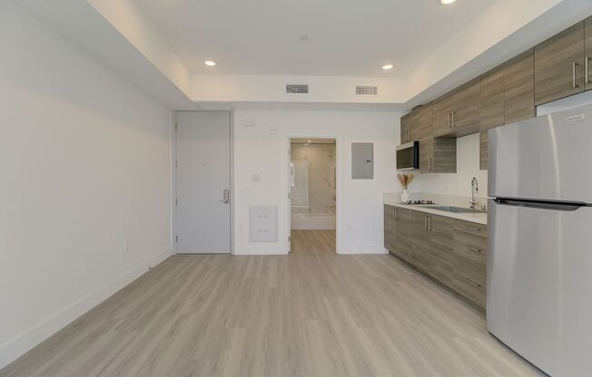 Studio, 1 bath, 371 sqft, $1,750, Unit 206