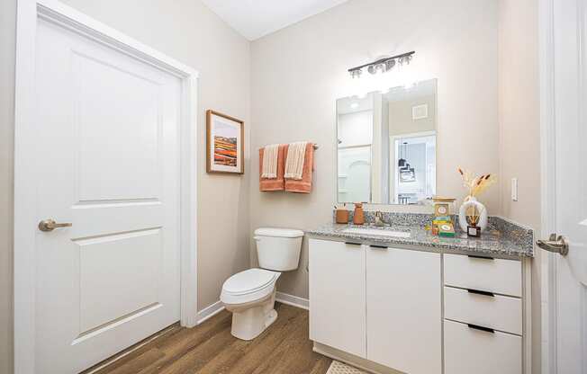 a bathroom with a toilet and a sink and a mirror