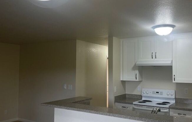 Park 5 Apartments
