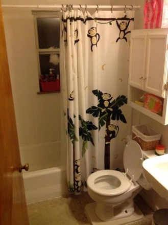 412 VOLKERT PL
