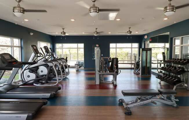 a gym with treadmills and other exercise equipment