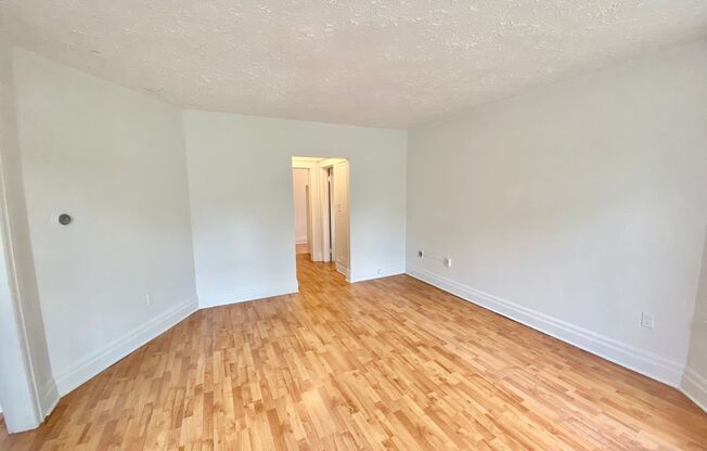 Studio, 1 bath, $995, Unit 2